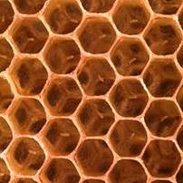 honeycomb.jpg