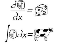 Pin by Lisa McLeod on Funny | Math memes, Math humor, Calculus jokes